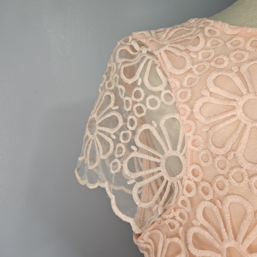 Lace Dress Size 14 New - Picture 16 of 16